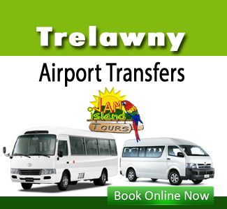 trelawny airport taxi
