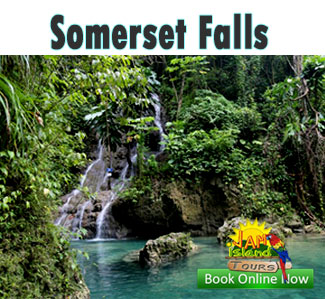 Somerset Falls