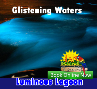 glistening waters luminous lagoon photos