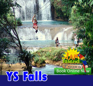 YS Falls Day Tour